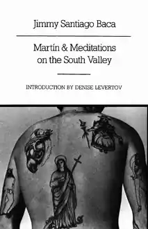 Cover of Martín and Meditations on the South Valley