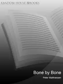 Cover of Bone by Bone