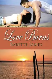 Cover of Love Burns