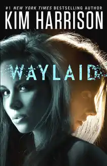 Cover of Waylaid