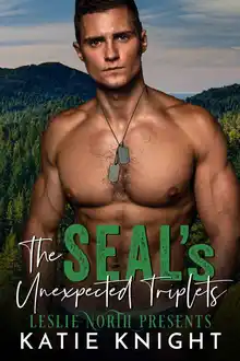 Cover of The SEAL’s Unexpected Triplets