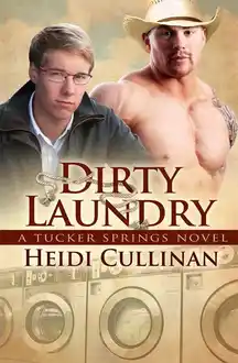 Cover of Dirty Laundry: a Tucker Springs Novel: Novel