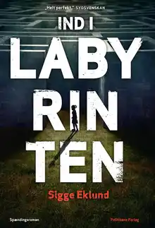 Cover of Ind i labyrinten: spændingsroman