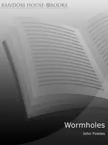 Cover of Wormholes essays and occasional writings