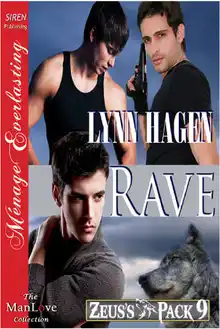 Cover of Rave