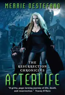 Cover of Afterlife: The Resurrection Chronicles