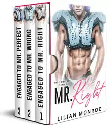 Cover of Mr. Right: The Complete Fake Engagement Series