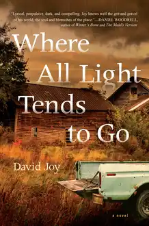 Cover of Where All Light Tends to Go