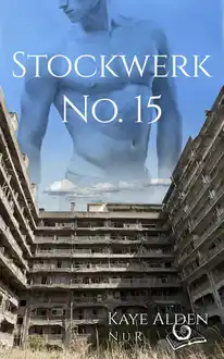 Cover of Stockwerk No. 15 (NuR 2) (German Edition)