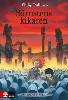 Cover of Barnstenskikaren