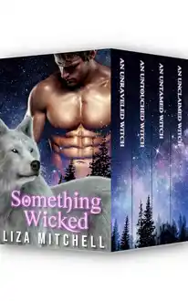 Cover of SOMETHING WICKED
