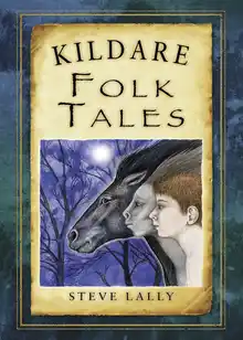 Cover of Kildare Folk Tales