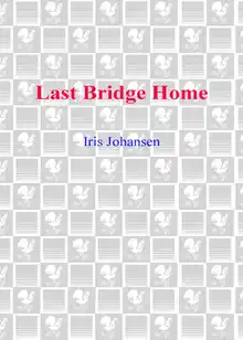 Cover of Last Bridge Home