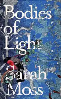 Cover of Bodies of Light