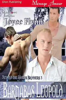 Cover of Barnabas Leopold