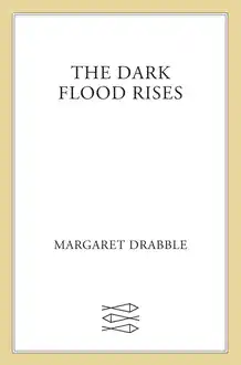 Cover of The Dark Flood Rises: a Novel