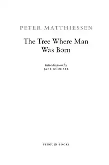 Cover of The Tree Where Man Was Born