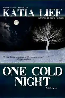Cover of One cold night: a novel