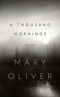 Cover of A Thousand Mornings