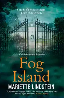 Cover of Fog Island