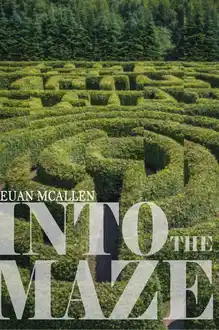 Cover of Into The Maze