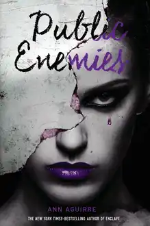 Cover of Public Enemies
