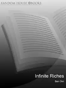Cover of Infinite Riches