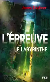 Cover of Le Labyrinthe
