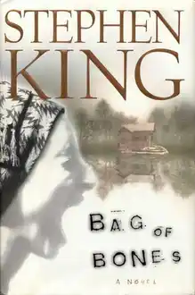 Cover of Bag of Bones